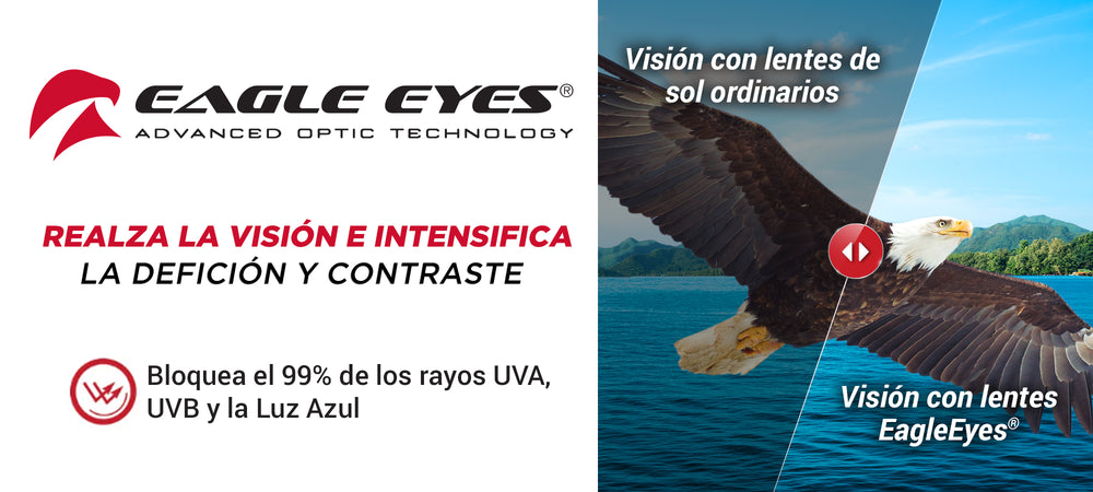 Eagle Eyes