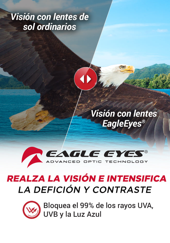 Eagle Eyes